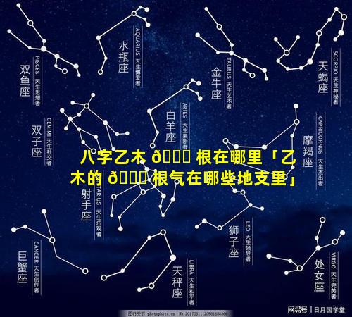 八字乙木 🐟 根在哪里「乙木的 🐕 根气在哪些地支里」